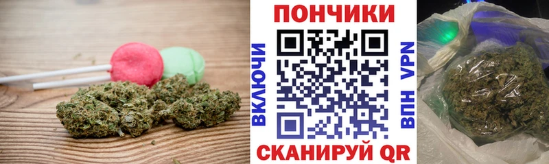 купить  сайты  MEGA ссылка  Cannafood конопля  Бирюч 