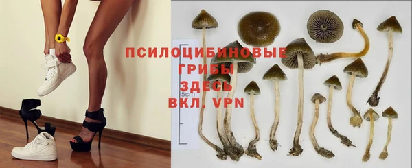 прущие грибы Алексеевка