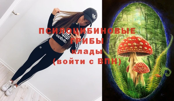 прущие грибы Алексеевка